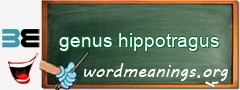 WordMeaning blackboard for genus hippotragus
